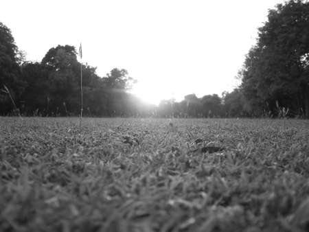 SUNSET OVER GRASSY LAWN SHOT IN BLACK AND WHITE の写真素材