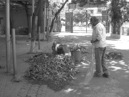 UNIDENTIFIED PEOPLE BROOMS COURTYARD. SHOT AT MORNING HOURS ON APRIL 06, 2013 IN PATNA, INDIA.のeditorial素材