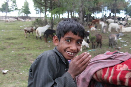 Jammu Countryside, Shot on May 21, 2014 at Sanasar late evening hours.のeditorial素材