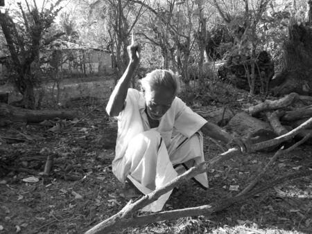 Travel Neil Island, A&N, India. Shot at morning hours on 18.03.2013 in Neil Island, Andaman, India.のeditorial素材