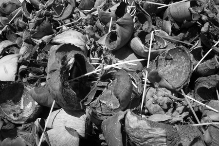 Travel Neil Island, A&N, India. Shot at afternoon hours on 18.03.2013 in Neil Island, Andaman, India.のeditorial素材