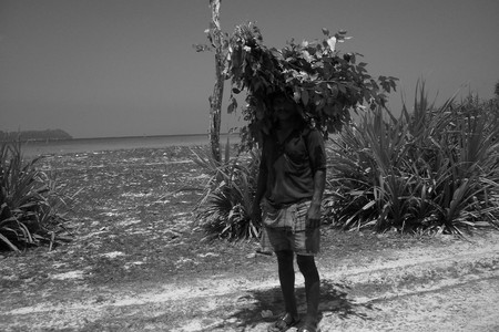 Travel Neil Island, A&N, India. Shot at afternoon hours on 18.03.2013 in Neil Island, Andaman, India.のeditorial素材