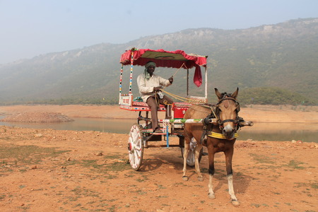 Lake Ghora katora, Bihar, India shot at 28.12.14. Afternoon hours.のeditorial素材