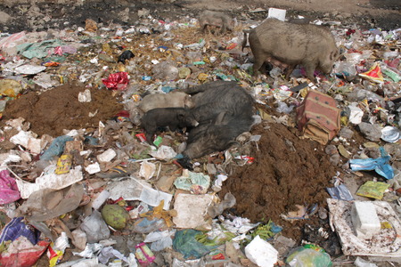 Travel Gandhi Maidan. Urban health issue, dustbin in city. . Shot at morning hours at Gandhi Maidan,Patna, Bihar on 18.02.2015のeditorial素材