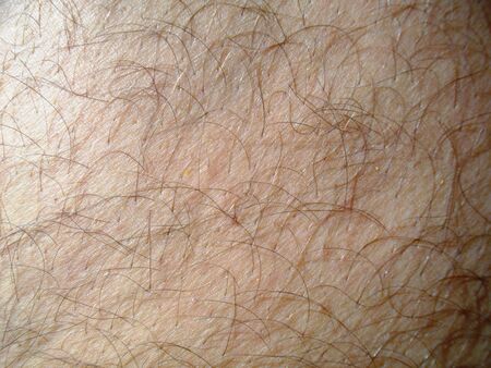 Body.の写真素材