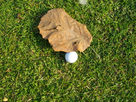 Golf course.の写真素材