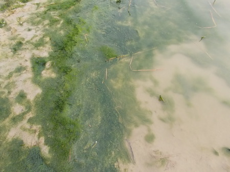 River Ganges, Patna 2015.