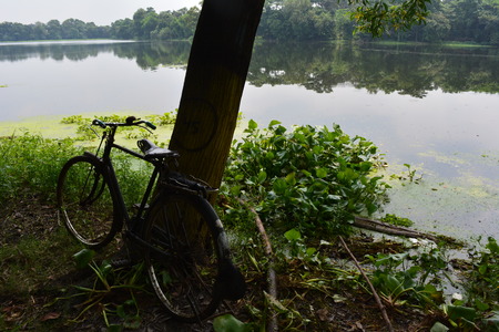 Pond.の写真素材