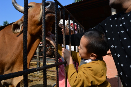 Mayapur, Nabadwip, Nadia, West Bengal. ISKCON temple and daily life of birthplace of Chaitanya Mahaparabhu. Shot on 28 December 2017.のeditorial素材