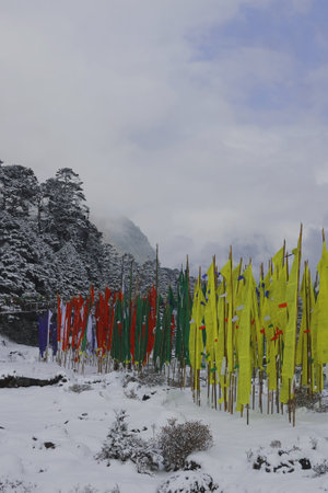beautiful snow covered yumthang valley in winter season, located in north sikkim in indiaの写真素材
