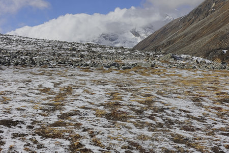 alpine tundra landscape and snowcapped himalaya mountains at zero point or yumesodong valley in north sikkim, indiaの写真素材