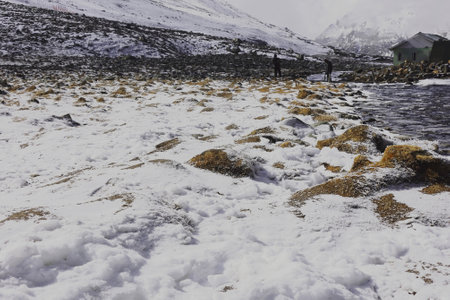 snow and boulders covered area of high himalaya at zero point or yumesodong valley, surrounded by snowcapped mountains in north sikkim, indiaの写真素材