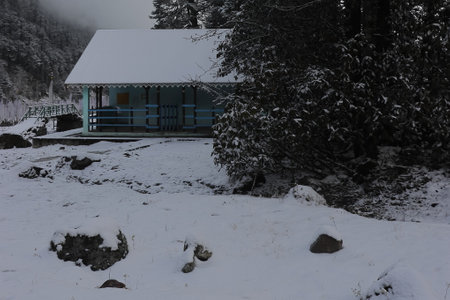 beautiful snow covered yumthang valley in winter season, located on himalayan foothills and surrounded by coniferous forest in north sikkim in indiaの写真素材