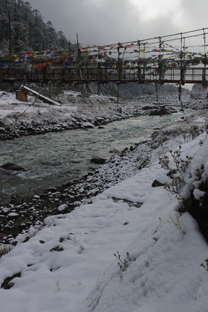 lachung river flowing through snow covered yumthang valley in winter season, located on himalayan foothills and surrounded by coniferous forest in north sikkim, indiaの写真素材
