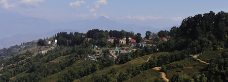 lush green mountain village and tea garden, located on himalayan foothills near darjeeling hill station in west bengal, indiaの写真素材