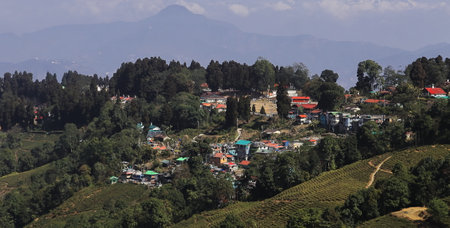 lush green mountain village and tea garden, located on himalayan foothills near darjeeling hill station in west bengal, indiaの写真素材