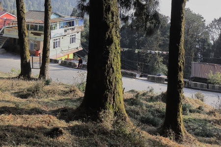 lepcha jagat, a beautiful and tranquil mountain village near darjeeling, located on himalayan foothills in west bengal, indiaの写真素材