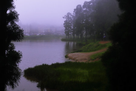 cloudy and misty mirik hill station, mirik lake and pine forest in rainy season, monsoon rainfall on himalayan foothills, darjeeling in indiaの写真素材