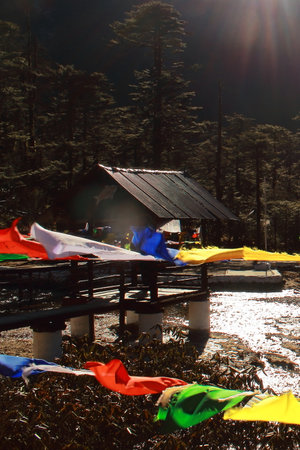 remote countryside area near madhuri lake, surrounded by himalaya mountains and pine forest in...