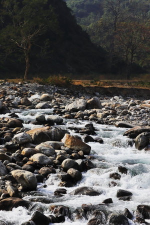 terai-dooars region of west bengal at dudhia. beautiful mountain stream (balason river) flowing...