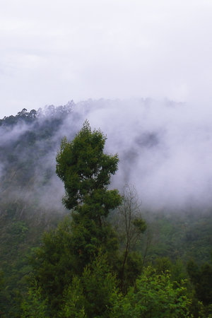 monsoon clouds gathering over palani hills, part of western ghats mountains range, wildernessn of...