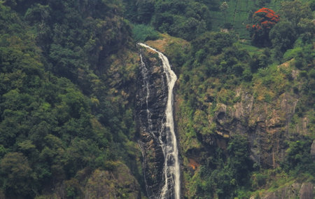 lush green nilgiri mountains and beautiful catherine waterfall from dolphin nose view point of coonoor near ooty hill station in tamilnadu, indiaの写真素材