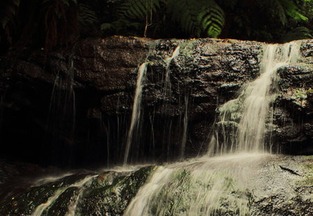 beautiful vattakanal waterfall on levinge stream, in a tropical rainforest on the foothills of...