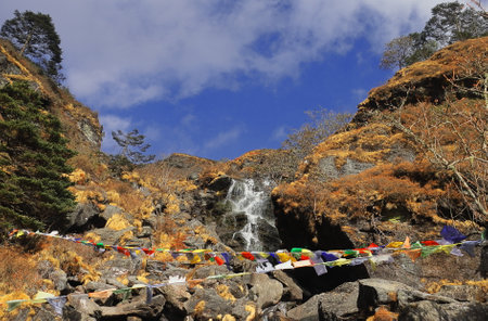 beautiful mountain stream flowing through the alpine forest in east sikkim, adventure traveling in the remote himalayan highlands, indiaの写真素材