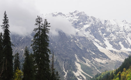 adventure travel, panoramic view of snowcapped himalaya mountains and wilderness of alpine forest...