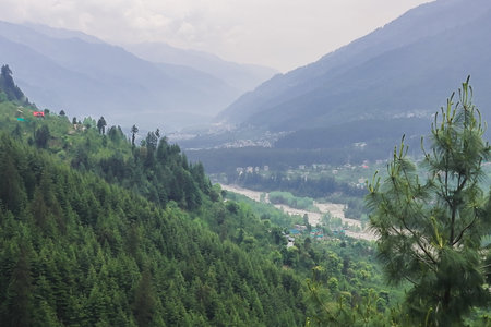 panoramic view of lush green forest and foggy himalaya mountains from manali hillstation in kullu...