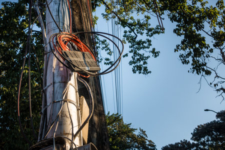 Electricity poles with overcrowded wires and distribution box in India.