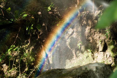 A shot of rainbow formed after dispersion of light by a water spray .