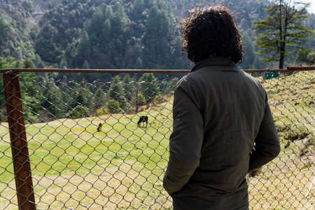 19th March 2020, Uttarakhand, India. A man looking over the fence at grazing cattle on the meadow of...