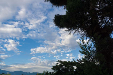 Different shapes of white clouds forming on the blue skies of Uttarakhand India with trees in the foreground and mountains at background.の写真素材