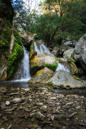 A beautiful waterfall with green pond in the middle of the forest in the outskirts of dehradun city of Uttarakhand , India.の写真素材