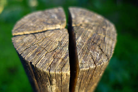 A closeup shot of a top of a circular wooden block with visible cracks and texture of the wood. Indiaの写真素材