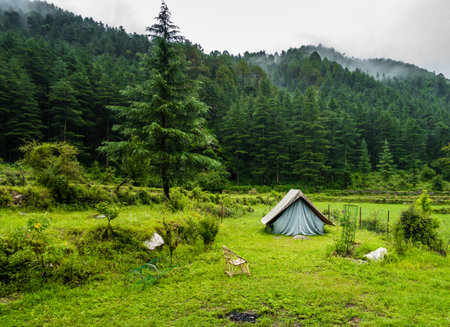 A tourist place in the meadows with a camp amid deodar tree forest and mountains in the background....