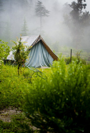 A tourist place in the meadows with a camp amid deodar tree forest and mountains in the background. Uttarakhand India.の写真素材