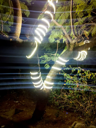 Bright Led lights wrapped around a tree trunk outside for decoration during festival . Dehradun City India.の写真素材