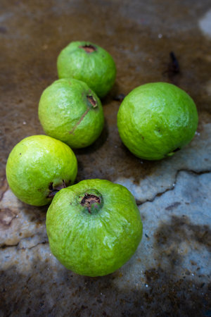 Picked Green guava whole fruit on ground. Indian Organic Farms.の写真素材