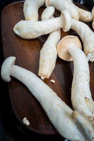 Table Top shot of Big Milky Mushroom, Calocybe Indica with long body stump and big circular crown. . Indiaの写真素材