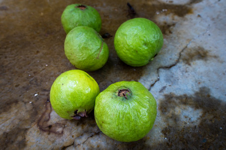 Picked Green guava whole fruit on ground. Indian Organic Farms.の写真素材