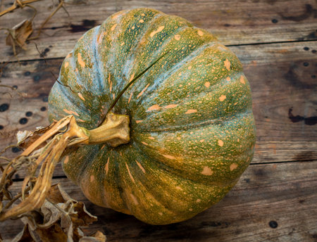 Close up shot of Pumpkin with vine stump on a wooden textured table top. Indiaの写真素材