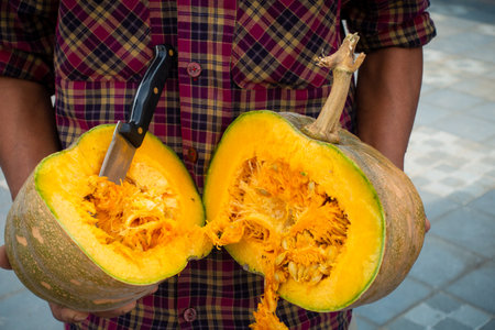 Hands Holding Pumpkin with vine stump in two halves with exposed internal pulp. Indiaの写真素材