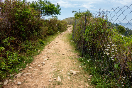 A narrow dirt road or foot road along a fence in the rural mountain region of Uttarakhand. Himalayan region farming and agriculture.の写真素材
