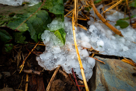 Frozen hailstones in Uttarakhand's Himalayan region during winter.