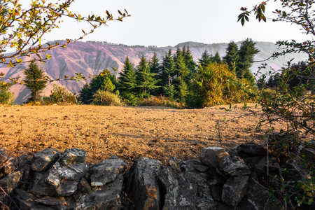 Breathtaking view of Uttarakhand's Himalayan region with stone walls, Deodar-Pine trees, and mountains.India.の写真素材