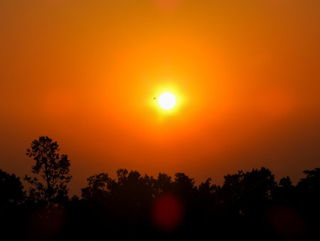 Spectacular round Sun at dusk filtering through tree leaves in Uttarakhand, India. Stunning nature view.の写真素材