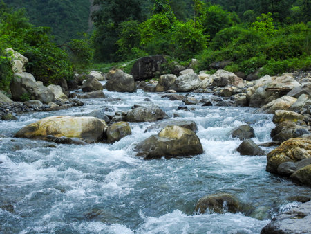 Rapid river flowing through Dehradun City jungles, Uttarakhand, India. Dynamic nature scene
