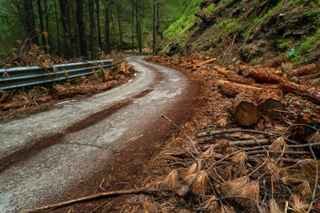 Deforestation in the hills of Uttarakhand due to road widening and new infrastructure development is...